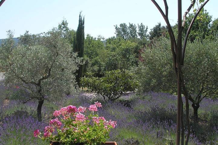 Maison d’hôte pour 2 personnes, avec jardin à Lacoste - 4