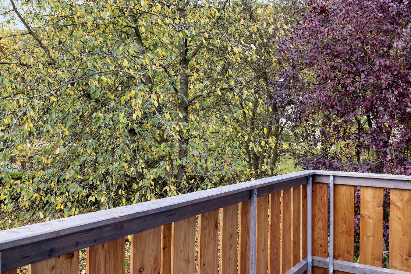 Ganze Wohnung, Ferienwohnung 'Rosenrot' mit Wlan in Naumburg (Hessen), Hessisches Bergland