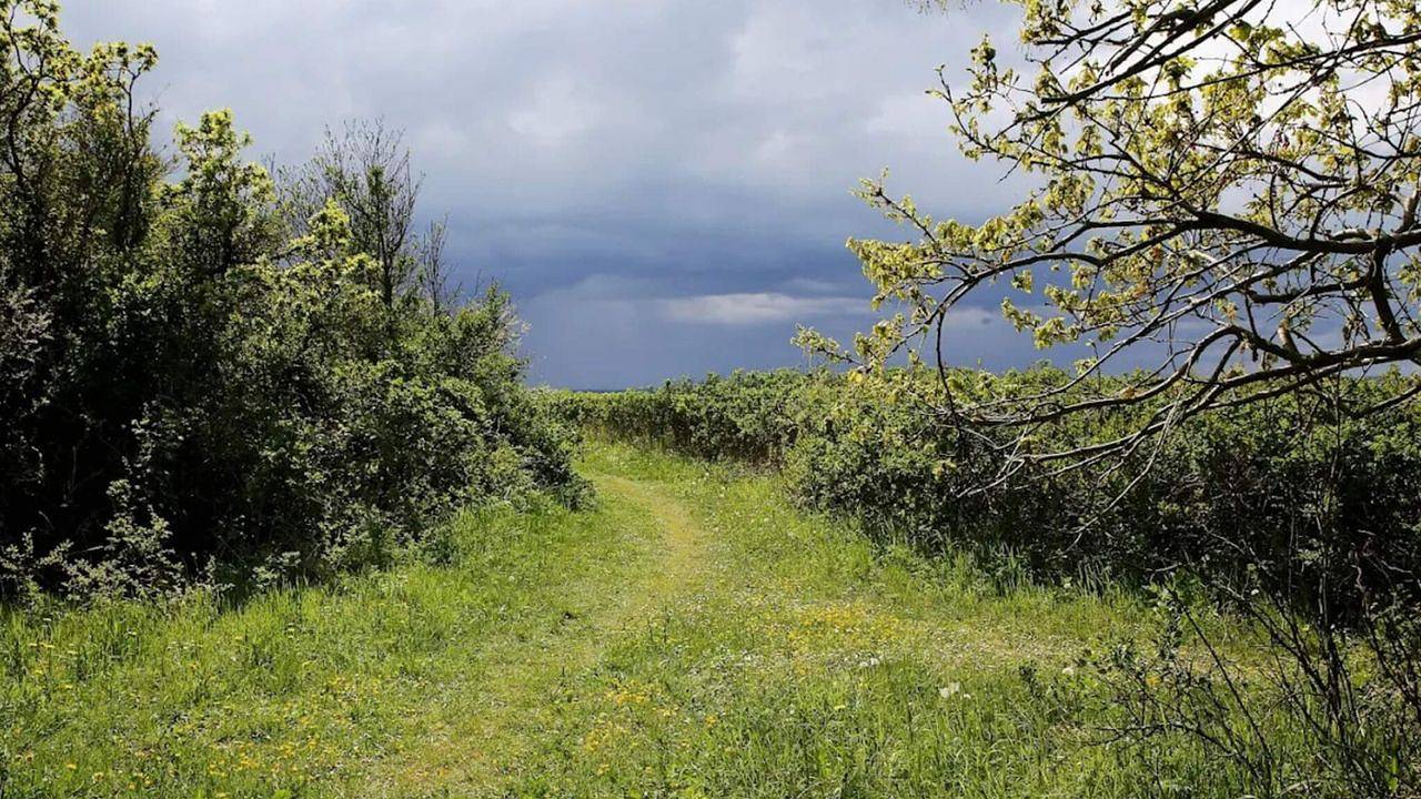 Ferienhaus für 5 Personen (55 m²) in Tranekær in Stoense, Tranekær