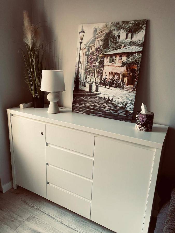 Cały apartament, Apartment in Siemianowice Śląskie, Śląsk