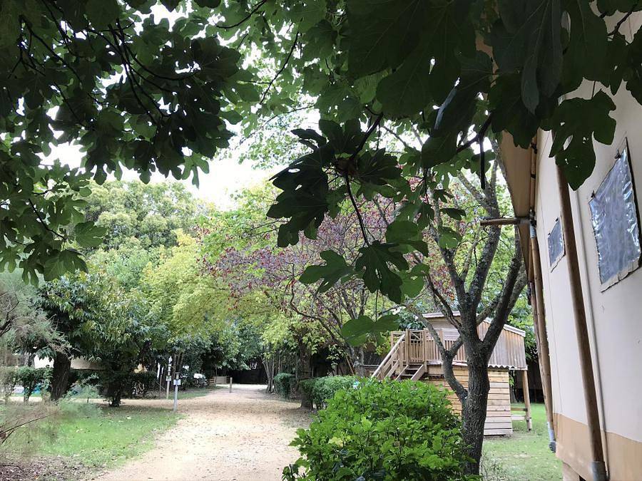 Camping Suze Luxe Nature - Chalet 2 personas - Camarote estrella - con Wc y lavabo - micrococina sin agua - sin ducha in Suze-la-Rousse, Región de Nyons