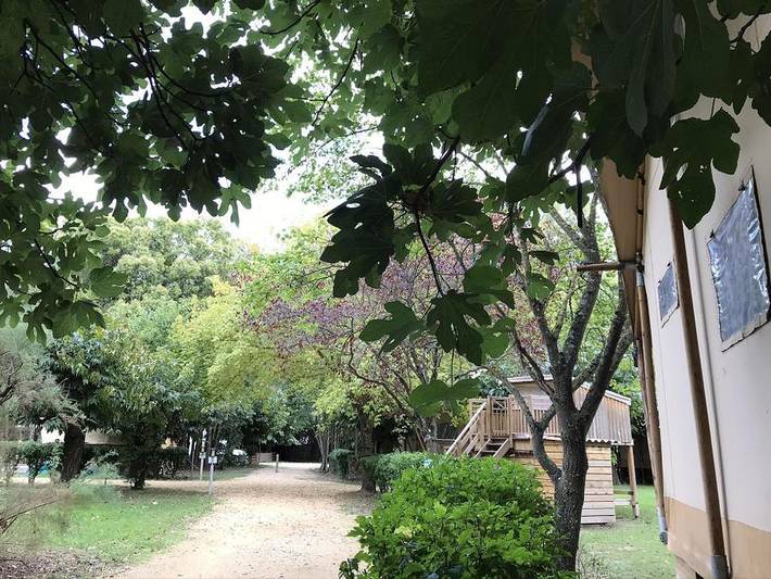 Camping Suze Luxe Nature - Chalet 2 personnes - Cabane Etoilée - avec Wc et lave-mains - micro cuisine sans eau - sans douche in Suze-la-Rousse, Région de nyons