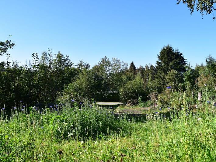 Ferienhaus für 4 Personen, mit Terrasse im Sauerland - 3
