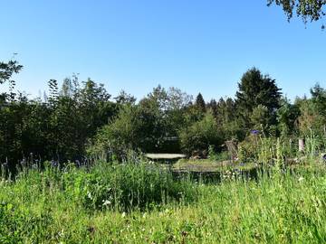 Chalet für 4 Personen in Brilon, Sauerland, Bild 2