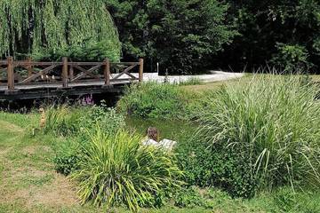 Chambre D’hôte pour 2 Personnes dans Le Controis-en-Sologne, Vallée de la Loire, Photo 4