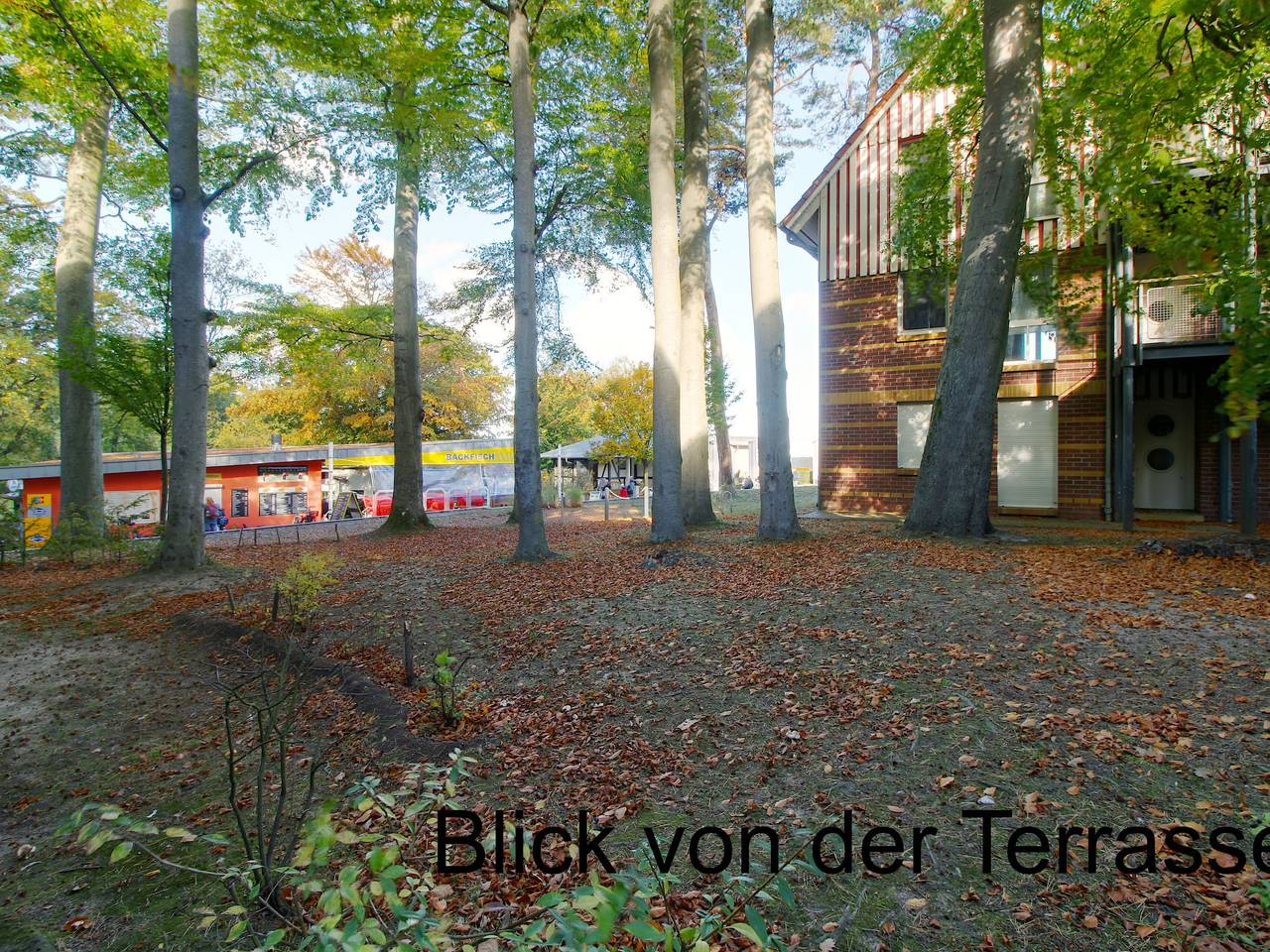 Ganze Wohnung, Jeschek in Ostseebad Koserow, Koserow