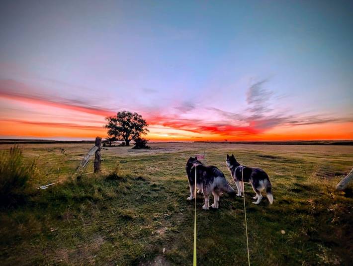 Ferienhaus für 10 Personen, mit Garten und Terrasse, mit Haustier in Fuhlendorf - 3