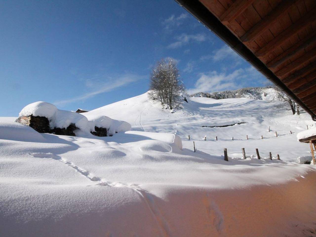 Ganze Ferienwohnung, Untererschbaumerhof - Terrassenwohnung in Untertilliach, Osttirol