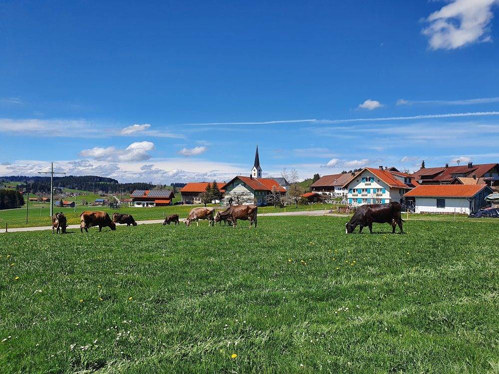 Ferienhof Miller - Einzelzimmer Nr. 8 in Oberstaufen, Bayerisch Schwaben