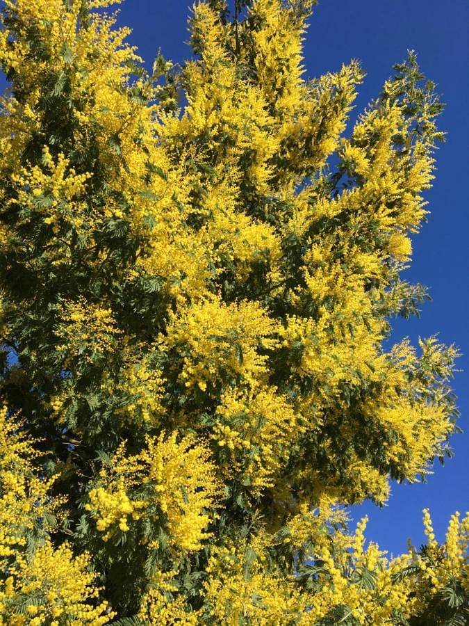 Maison d’hôte pour 2 personnes, avec piscine ainsi que jardin et vue en Bretagne - 2