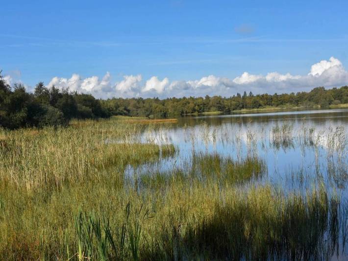 Ferienhaus für 6 Personen, mit Garten und Terrasse, kinderfreundlich in Kvie Sø - 3