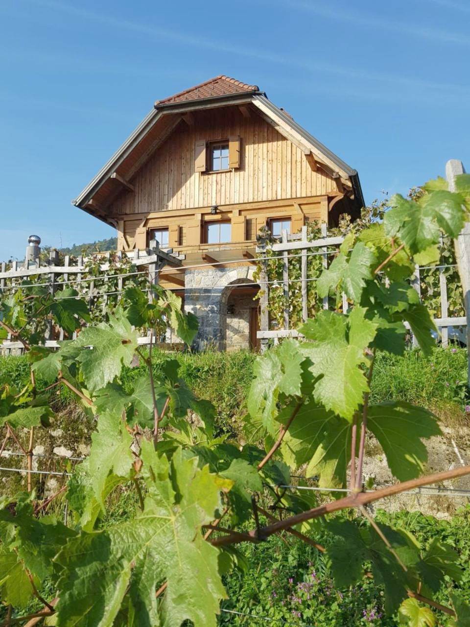 Three-Bedroom Townhouse in Neustadtl, Slowenien