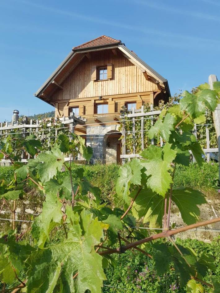 Location de vacances pour 6 personnes, avec Balcon et Terrasse ainsi que Jardin et Vue dans Novo mesto - 2