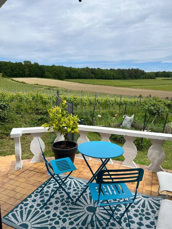 Double Room with Garden View in Loubès-Bernac, Région de Marmande