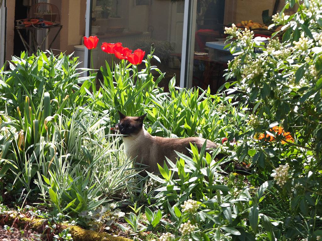 Chambres d'hôtes "La Maison Juranville" - Chambre 3 in Saint-Amand-Montrond