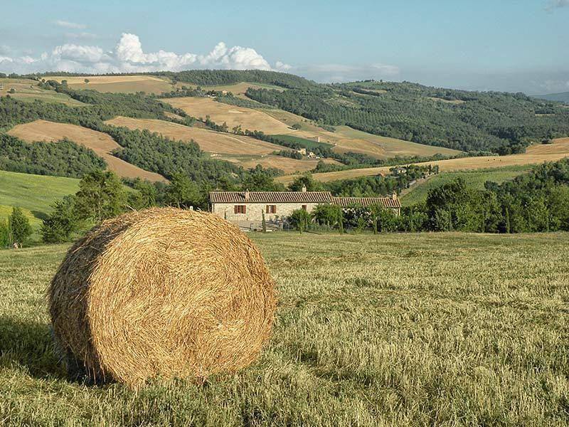 Apartamento vacacional entero, Holiday flat Il Mandorlo for 8 people in San Venanzo, Provincia de Perugia