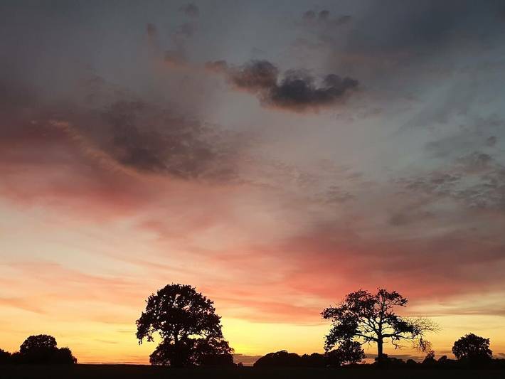 Ferienhaus für 4 Personen, mit Terrasse, mit Haustier in Hasselberg - 2