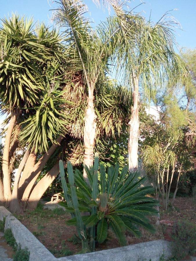 Double Room in Andrano, Provincia di Lecce