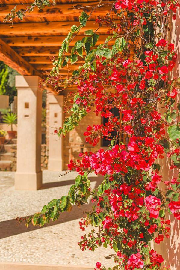 Casa de vacaciones para 10 personas, con jardín además de piscina y vistas, Se admiten mascotas en Ibiza - 3