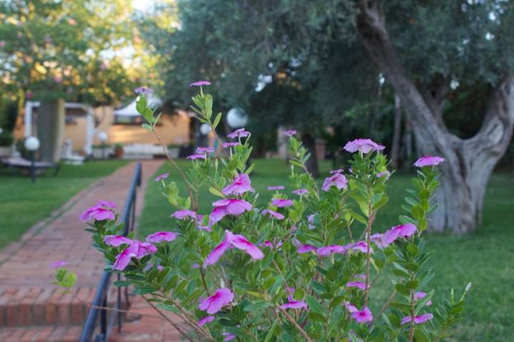 Villa per 11 persone, con panorama e terrazza, con animali domestici in Partinico
