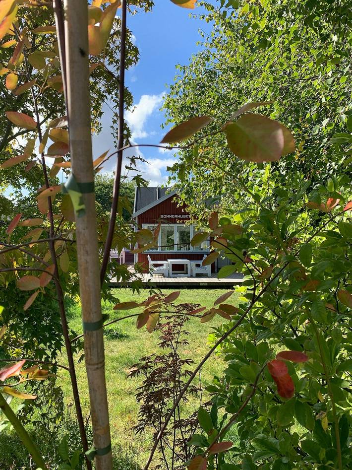 Ferienhaus für 4 Personen, mit Terrasse und Garten in Djursland - 2