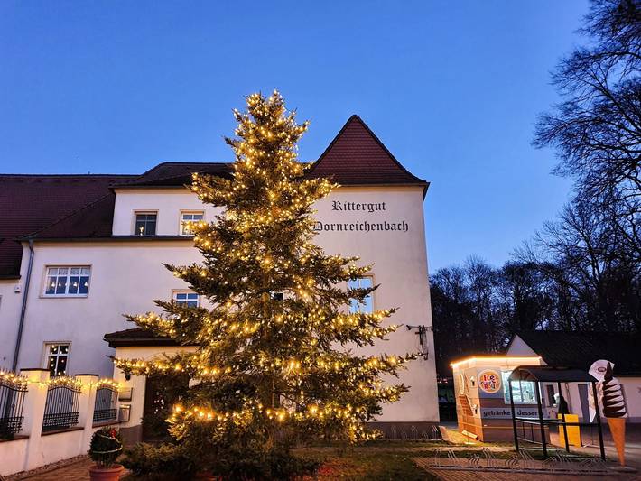 Ferienwohnung für 4 Personen, mit Garten, mit Haustier in Sächsisches Burgen- und Heideland - 3