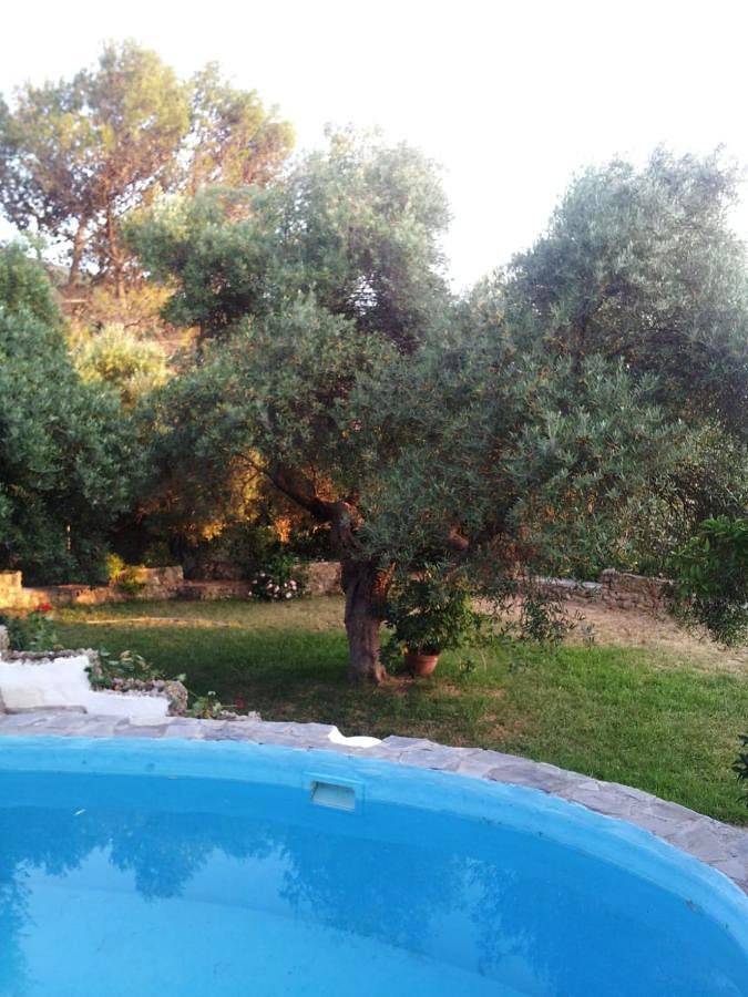 Casa rural para 7 personas, con vistas además de terraza y piscina, Se admiten mascotas en El Bosque - 3