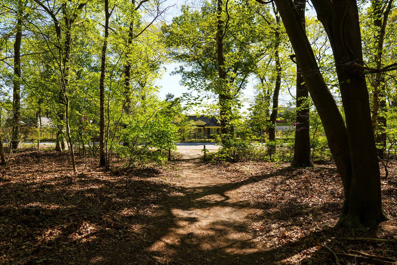 Recreatielandgoed de Ijsvogel — Villa "De Ijsvogel" Sauna | 8 Pers. in Veluwe