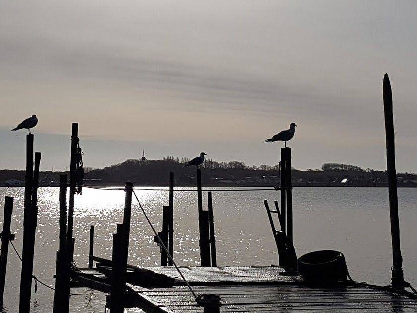Ganze Ferienwohnung, Fw Klabautermann 5 Personen in Klein Zicker, Mönchgut