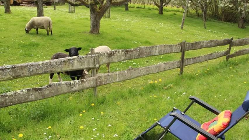 Bauernhof für 5 Personen, mit Garten am Bodensee - 4