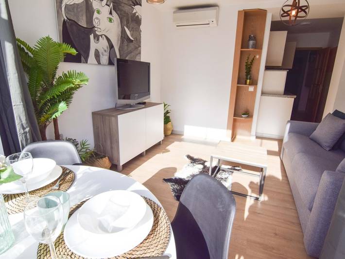 Ferienwohnung für 3 Personen, mit Terrasse in Malaga - 3
