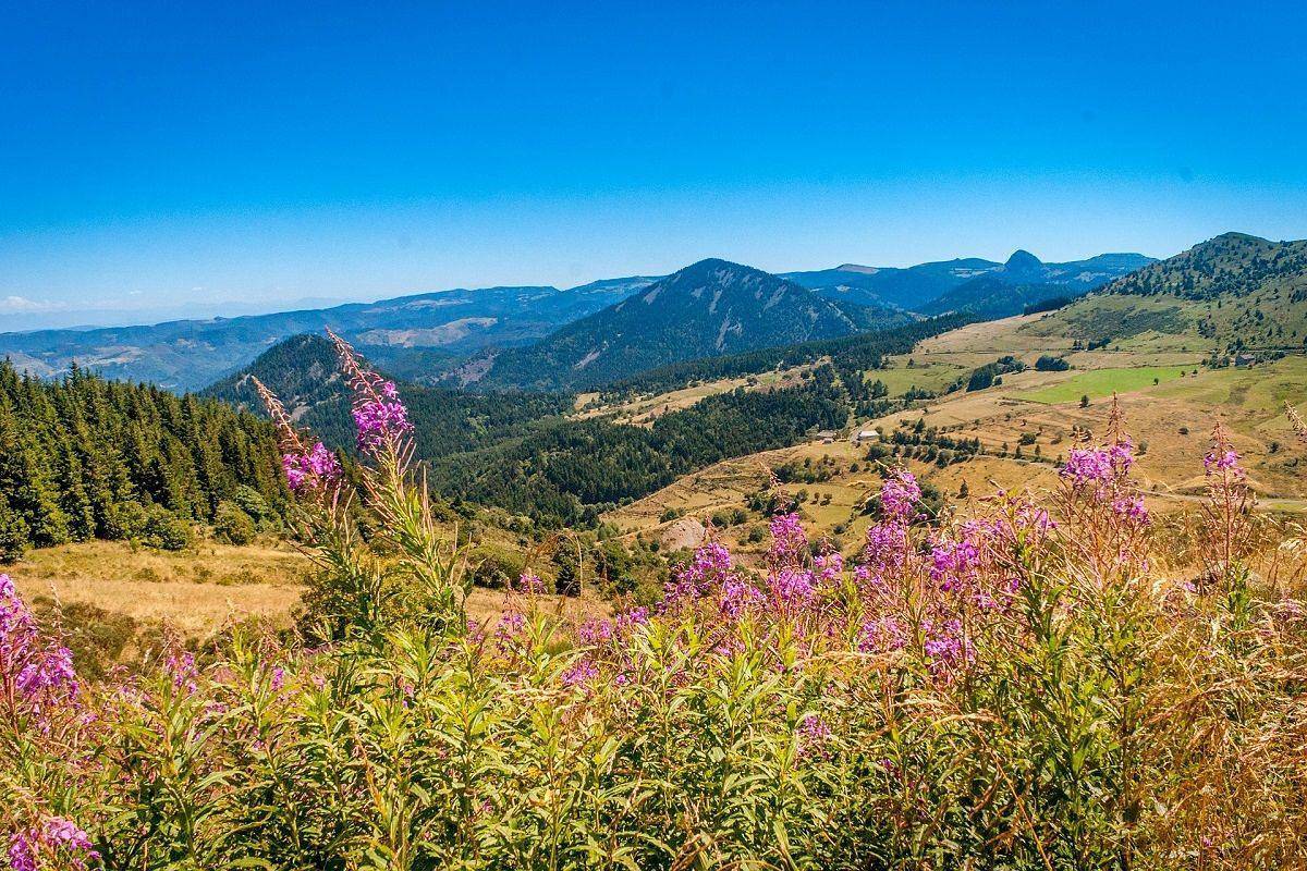 Gite Cocon des Sucs in Yssingeaux, Massif central