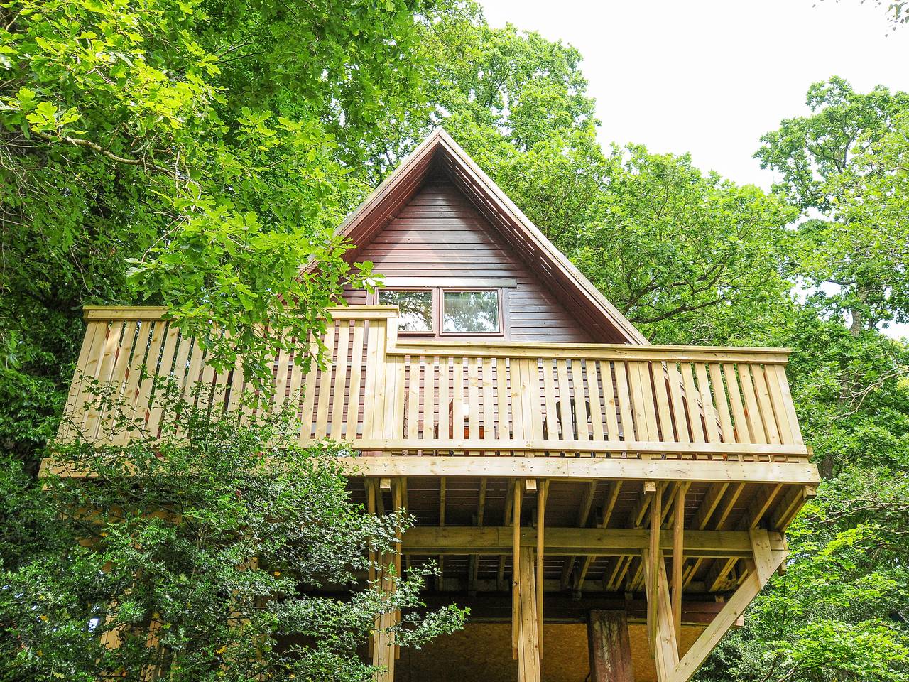 Lodge 32 - Cowslip in Hennock, Devon