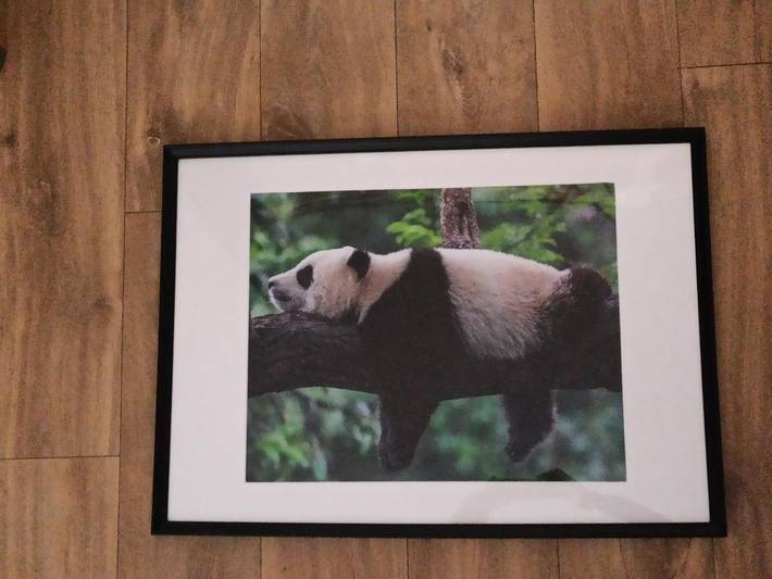 Gîte pour 2 personnes, avec terrasse, animaux acceptés à Saint-Aignan - 4