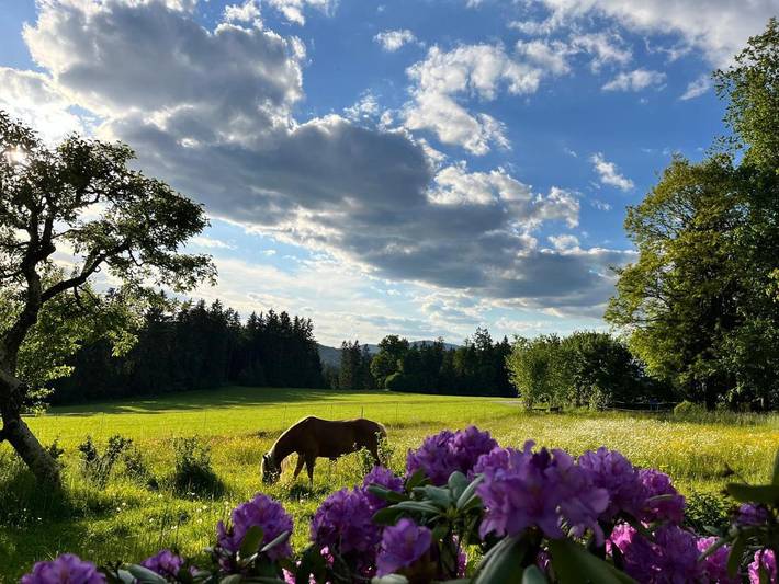 Ferienhaus für 4 Personen, mit Ausblick und Garten in Böbrach - 3