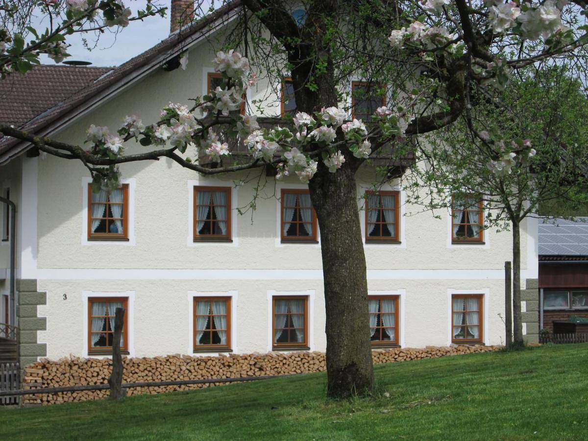 Ganze Wohnung, Moarhof Holzhausen in Holzhausen am Starnberger See, Münsing