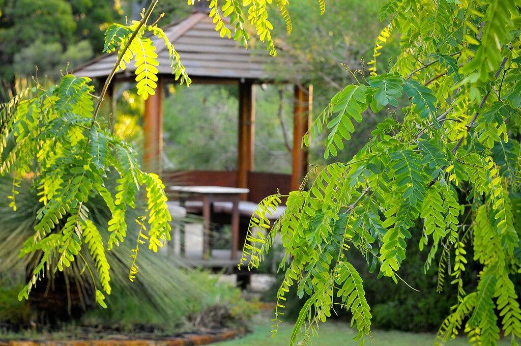 Roo topia at Chez Nous A Yallingup Sanctuary in Yallingup, Western Australia