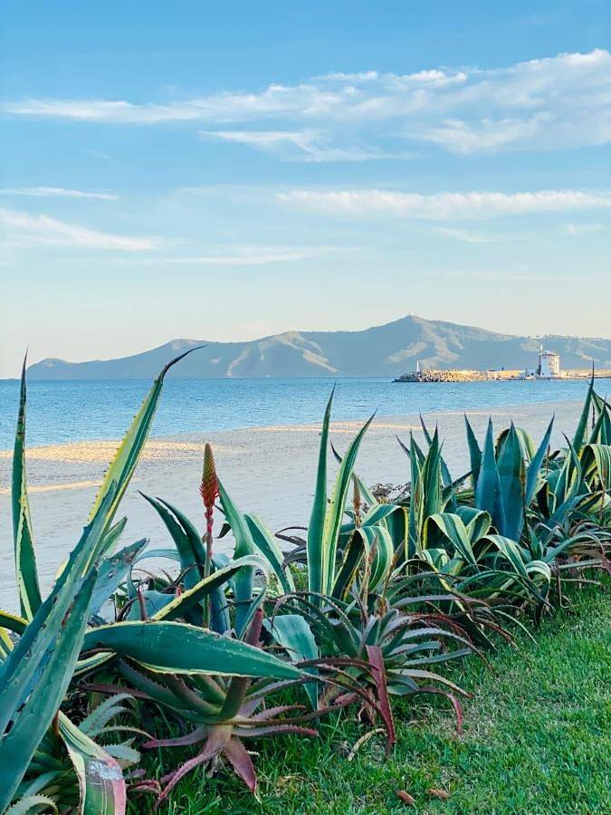 Location de vacances pour 6 personnes, avec jardin dans Marina Smir - 2