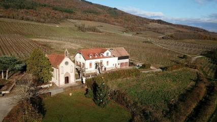 Location de vacances pour 12 personnes, avec vue et jardin ainsi que terrasse et sauna à Scherwiller