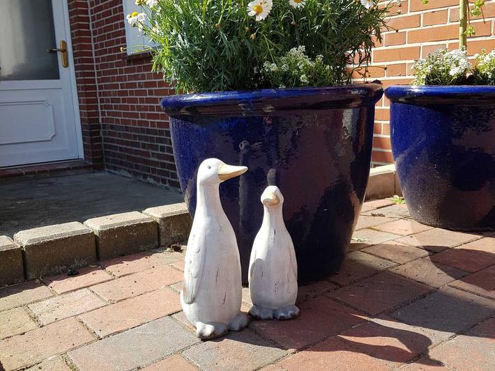 Bauernhaus für 5 Personen, mit Terrasse und Garten, kinderfreundlich in Leer - 3