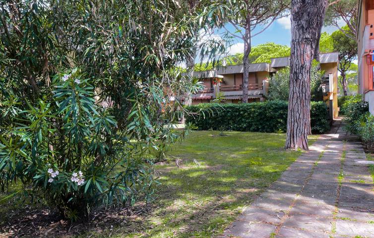 Gîte pour 4 personnes, avec jardin, animaux acceptés à Castiglione della Pescaia - 3