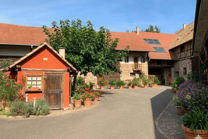 Gîte pour 6 personnes, avec balcon, adapté aux familles à Mittelhausbergen