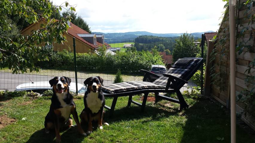 Ferienhaus für 6 Personen, mit Garten und Terrasse, kinderfreundlich in Zandt - 3