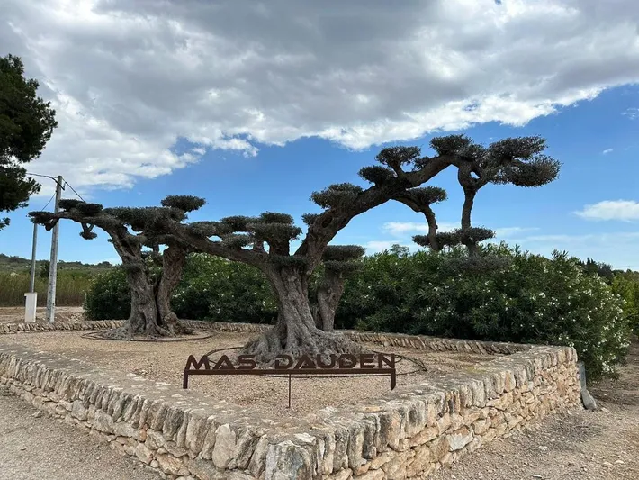 Maison de campagne pour 12 personnes, avec jardin ainsi que vue et piscine - 1