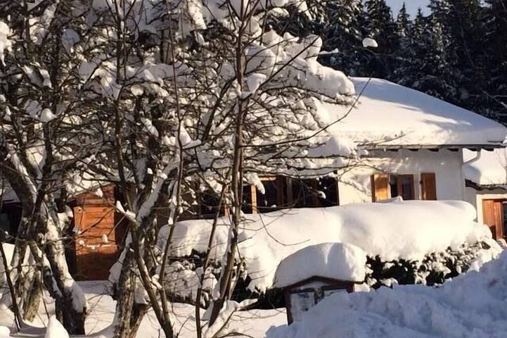 Ferienhaus für 6 Personen, mit Garten und Terrasse, mit Haustier in Feldberg