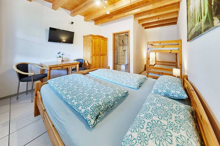 Ganze Wohnung, Schönes 1-Zimmer-Apartment mit Bad & Wc - nur 10 Gehminuten vom Europa-Park in Europa-Park, Rust