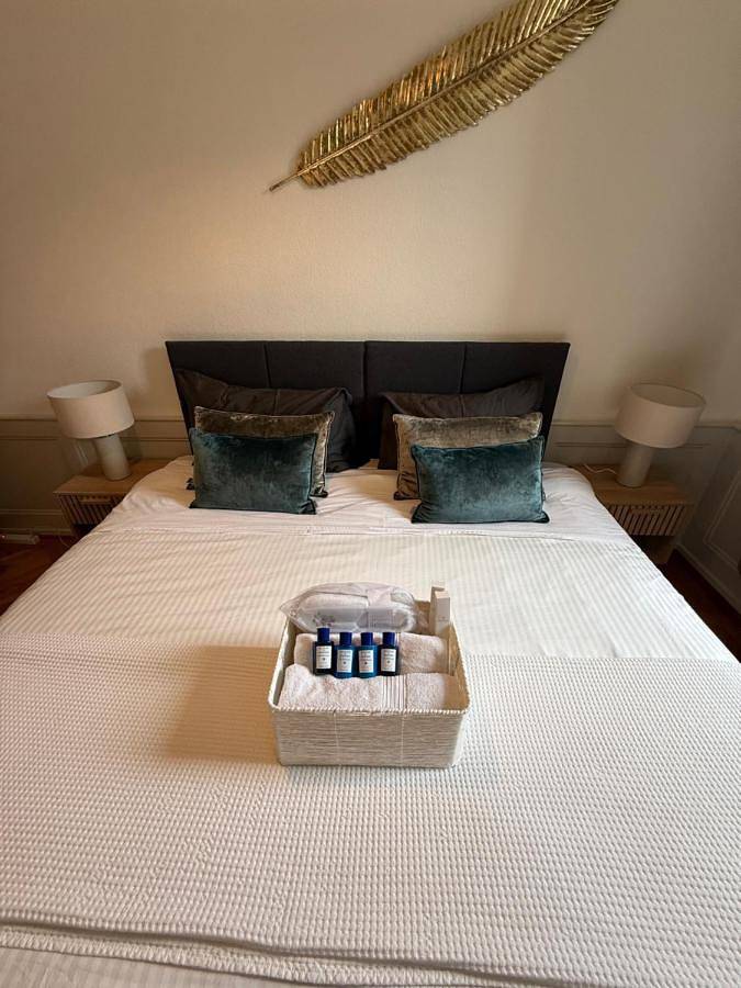 Appartement entier, V&V Centre Neuchatel in Neuchâtel, Lake Neuchâtel