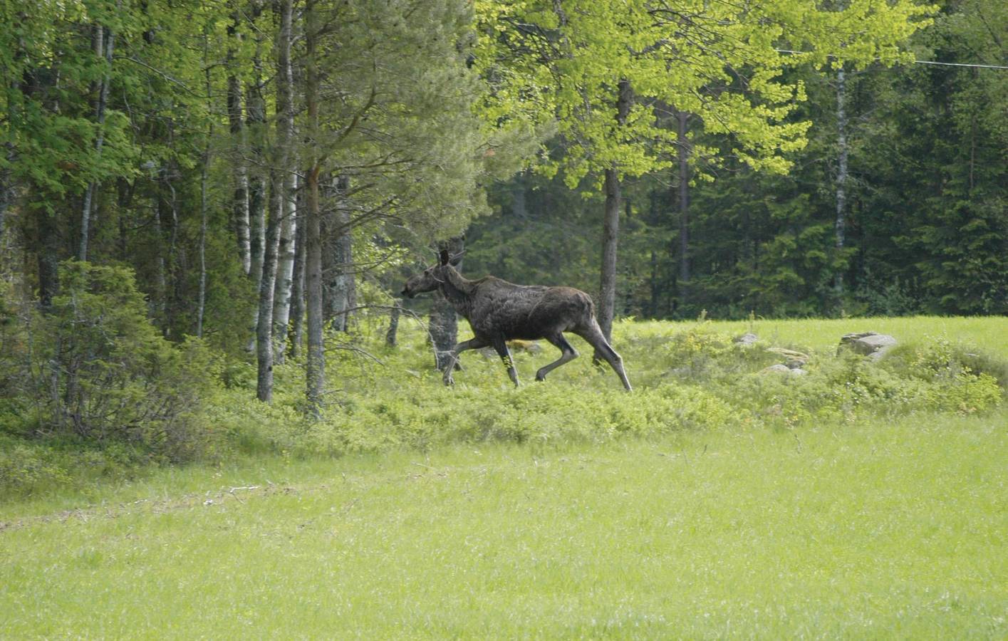 Hus för 5 Personer med trädgård in Bohuslän