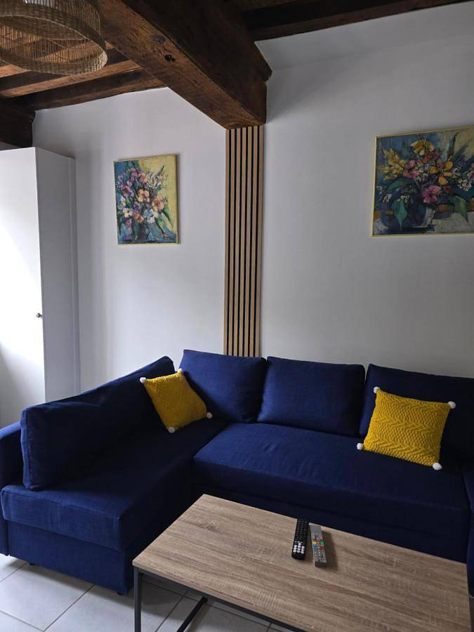 Appartement entier, One-Bedroom Apartment in Chenôve, Région de Dijon