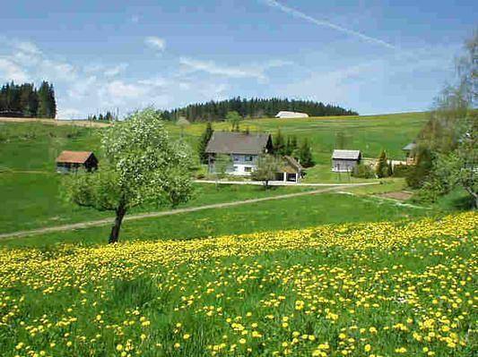 Ferienwohnung für 5 Personen, mit Garten und Terrasse, mit Haustier in Titisee-Neustadt